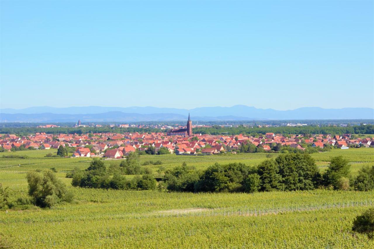 La Halte Des Vignes - Route Des Vins D'Alsace Apartman Scherwiller Kültér fotó